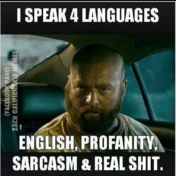 Funny-meme-I-speak-four-languages.jpg