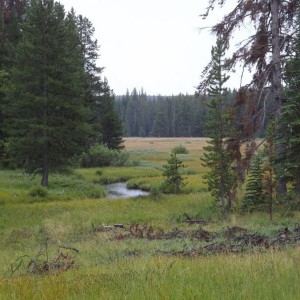 Montana Overland 4x4