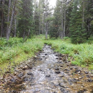 Montana Overland 4x4