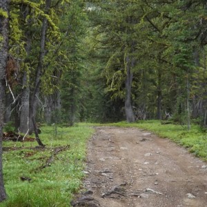 Montana Overland 4x4