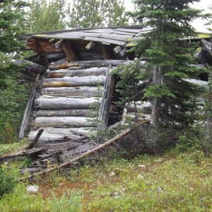 Montana Overland 4x4