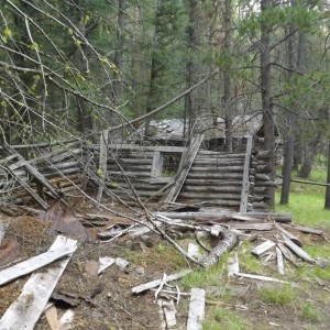 Montana Overland 4x4