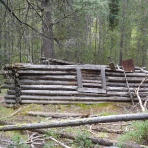 Montana Overland 4x4