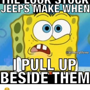 The-look-stock-jeep-make-when-altsajeepmeme-pull-up-beside-377512