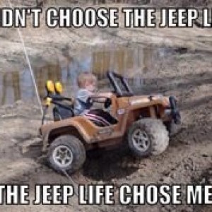 43e0be8ccc7821a7ee371df74ca7777e--jeep-meme-jeep-humor